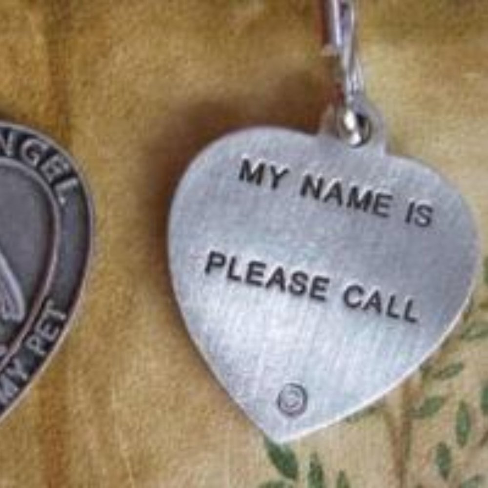 ST FRANCIS OF ASSISI PROTECT MY PET HEART CHARM - Picture 3 of 3